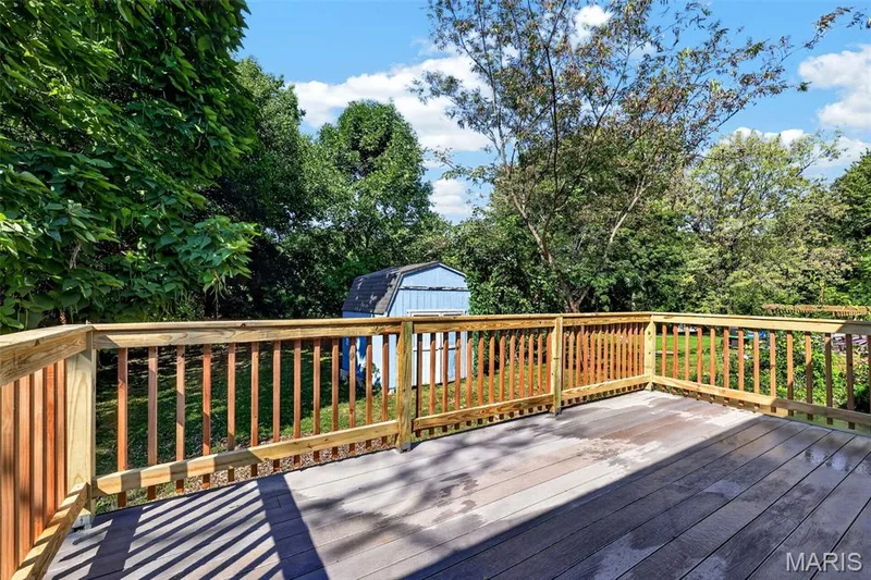 117 Saint Joseph Avenue, O'Fallon, MO 63366 — listing photo 25 of 34