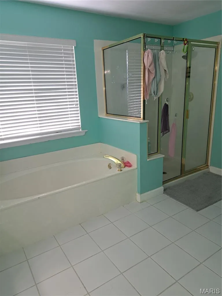 Primary bath with separate tub and shower. — 14001 Eagle Manor Court, Chesterfield, MO 63017