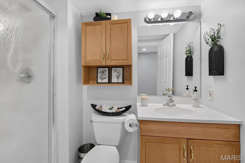 Frosted glass shower enclosure, wood-finish vanity with an integrated sink, polished chrome faucet, rectangular mirror, and an overhead vanity light fixture — 35 Snowmass Court, O'Fallon, MO 63368