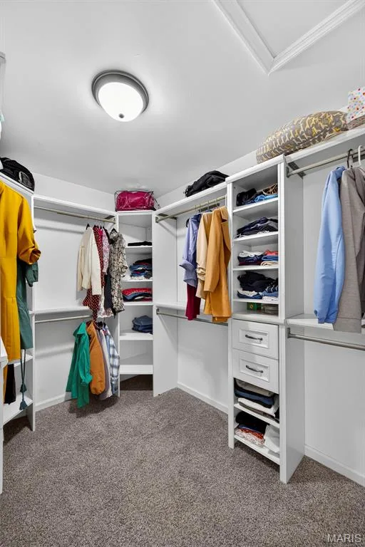 Primary walk-in closet with organizers — 6 Potomac Court, St Charles, MO 63303