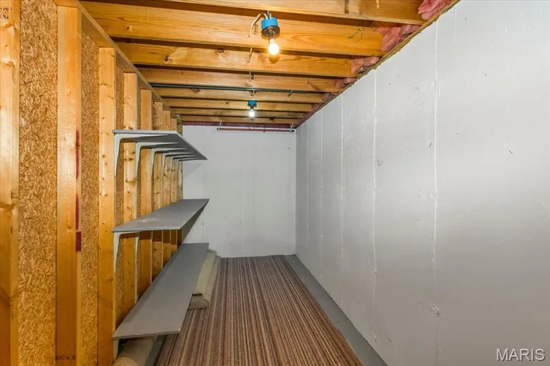 Second large closet in the lower level. — 1346 Cherry Glen Court, Chesterfield, MO 63017