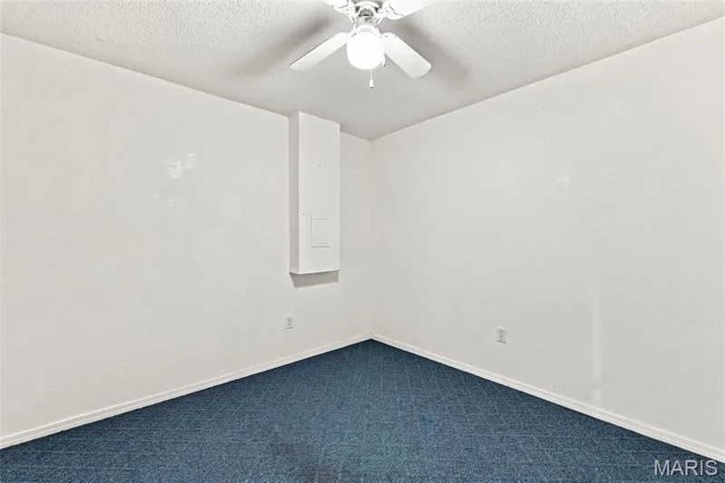 3537 Canyon Creek Drive, St Charles, MO 63303 — listing photo 48 of 58