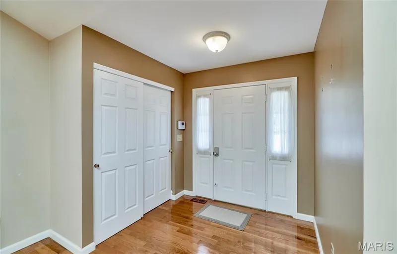 Wood-finish flooring, white paneled entry door with sidelights, and a flush-mount ceiling light — 3641 Wind Chime Lane, St Charles, MO 63301