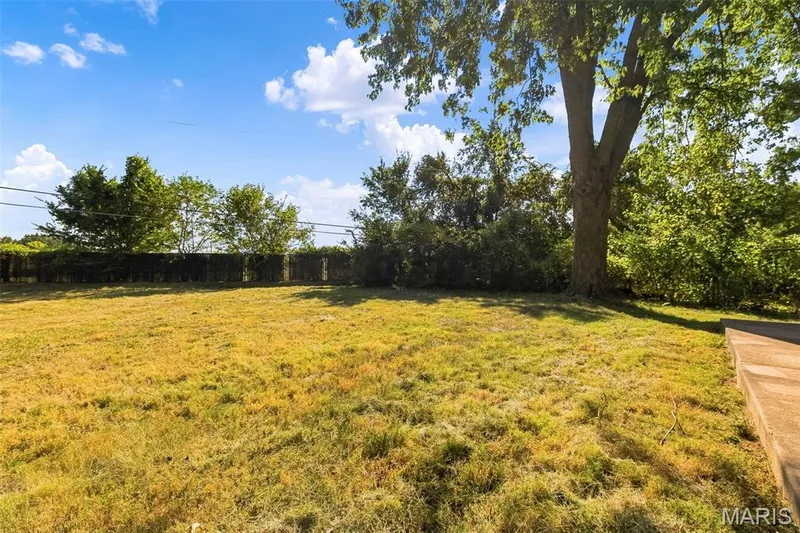 320 View Point Lane, Lake St. Louis, MO 63367 — listing photo 43 of 46