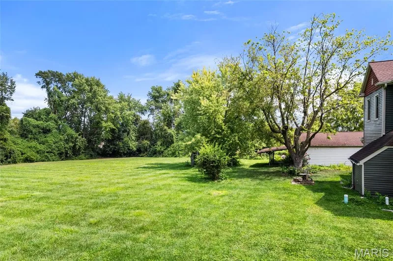 811 Tom Ginnever Avenue, O'Fallon, MO 63366 — listing photo 36 of 39