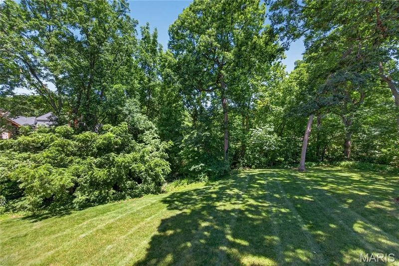 4 Woodford Place, St Charles, MO 63301 — listing photo 26 of 33