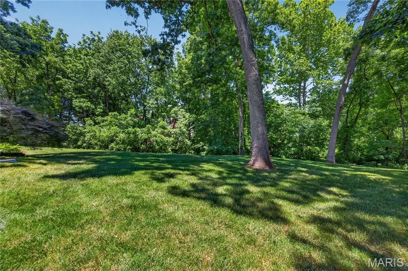 4 Woodford Place, St Charles, MO 63301 — listing photo 27 of 33