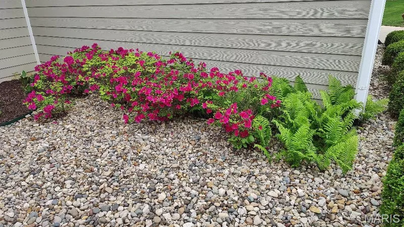 Azaleas in bloom — 311 Gateview Drive, Wentzville, MO 63385