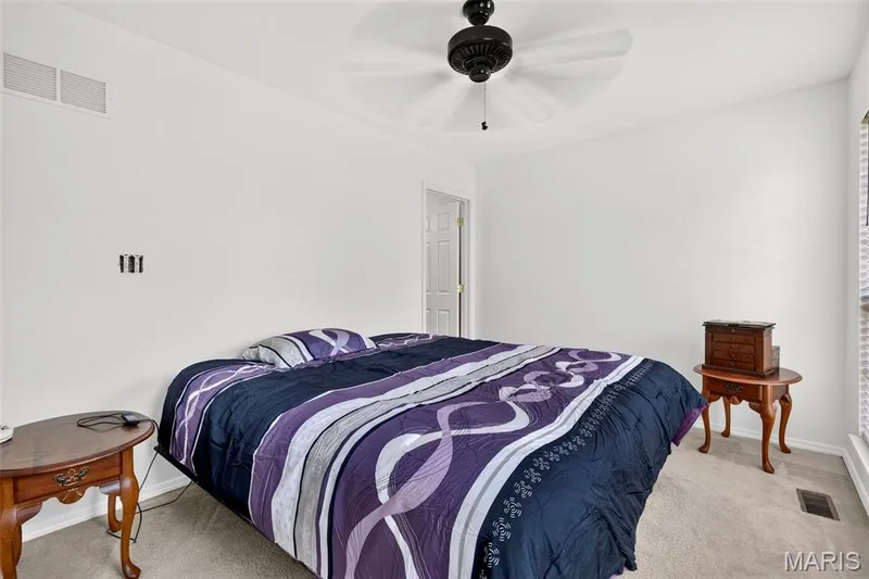 871 Boardwalk Springs Place, O'Fallon, MO 63368 — listing photo 12 of 24
