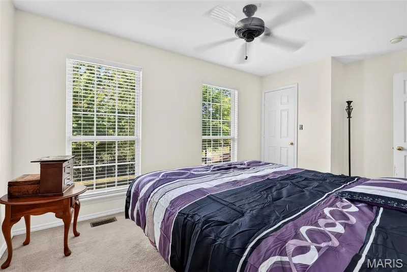 871 Boardwalk Springs Place, O'Fallon, MO 63368 — listing photo 13 of 24