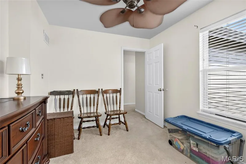 871 Boardwalk Springs Place, O'Fallon, MO 63368 — listing photo 19 of 24