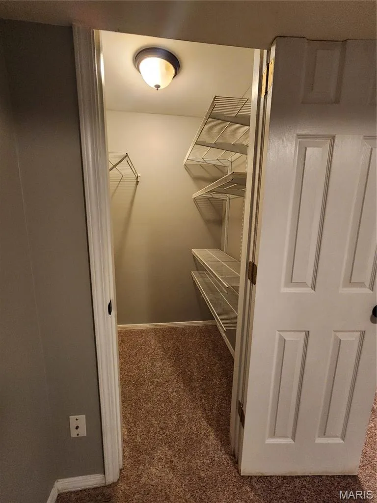 170 Autumn Chase Drive, O'Fallon, MO 63366 — listing photo 43 of 52