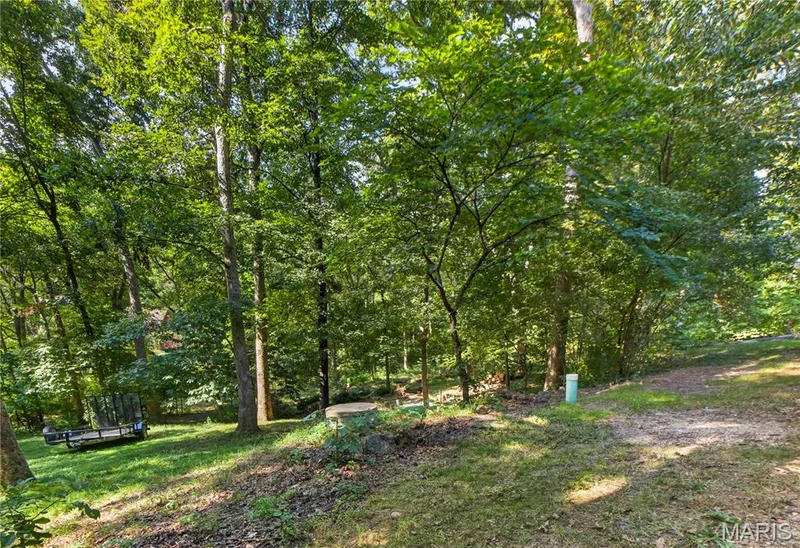 19334 Ossenfort Court, Glencoe, MO 63038 — listing photo 46 of 63