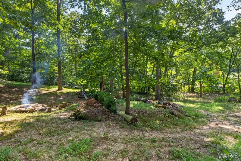 19334 Ossenfort Court, Glencoe, MO 63038 — listing photo 49 of 63