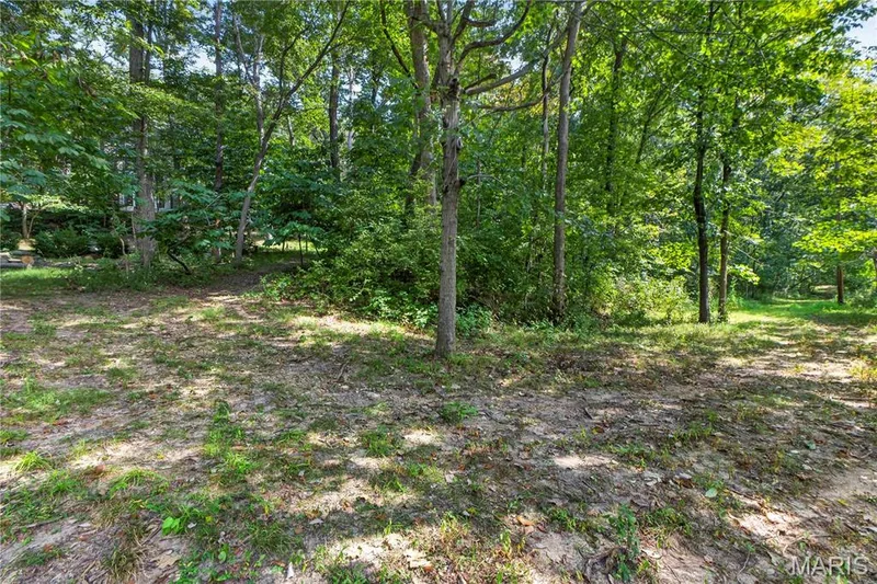 19334 Ossenfort Court, Glencoe, MO 63038 — listing photo 51 of 63