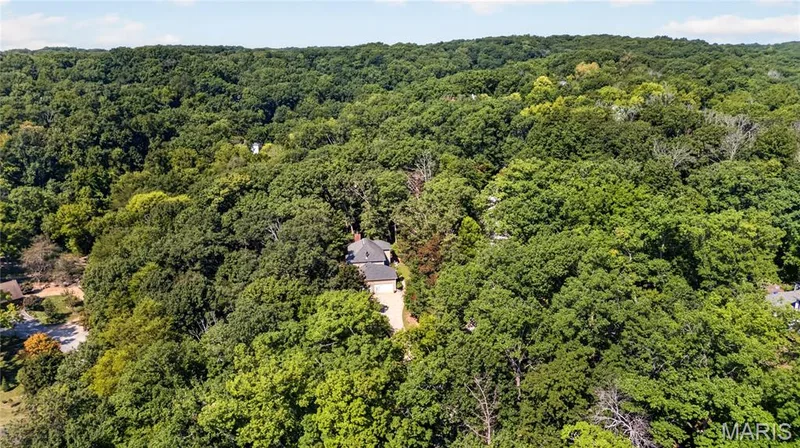 19334 Ossenfort Court, Glencoe, MO 63038 — listing photo 62 of 63