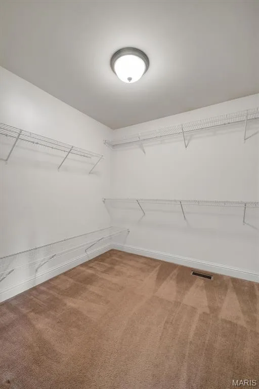 1016 Gardenbridge Place, St Charles, MO 63303 — listing photo 35 of 60
