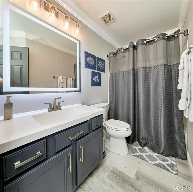Vanity with a single basin, a contemporary illuminated mirror, and a brushed nickel faucet — 264 Greenshire Lane, Dardenne Prairie, MO 63368
