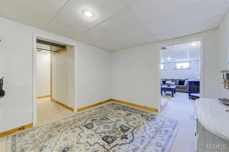 203 Wildflower Ridge Drive, Wentzville, MO 63385 — listing photo 45 of 65