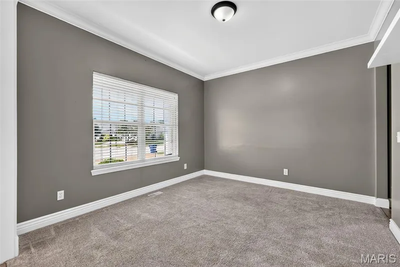 904 Hampshire Heath Drive, O'Fallon, MO 63368 — listing photo 7 of 67