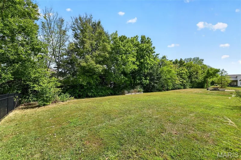 904 Hampshire Heath Drive, O'Fallon, MO 63368 — listing photo 56 of 67