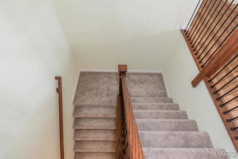 113 Gronefeld Court, St Charles, MO 63303 — listing photo 30 of 47