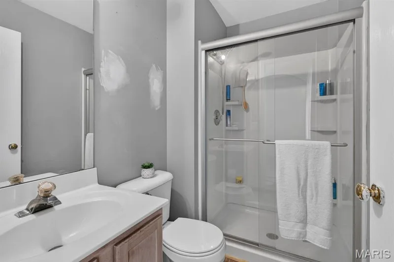 Primary bath — 314 Evening Star Court, Wentzville, MO 63385