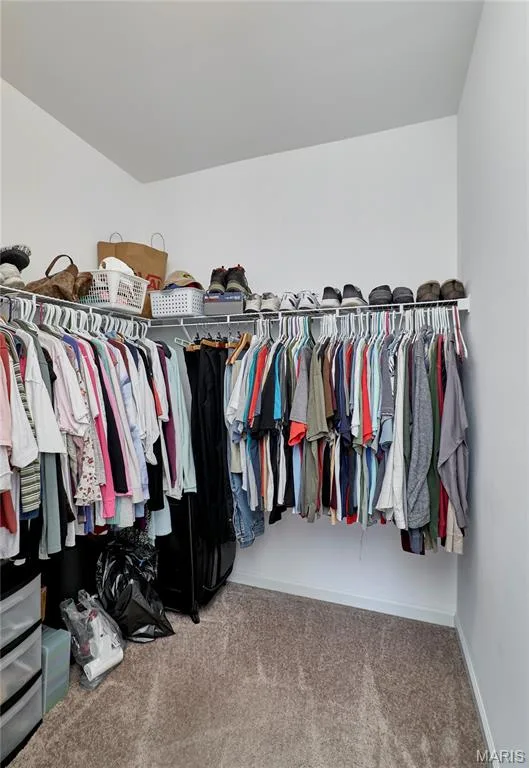 Walk-in closet featuring built-in wire shelving, hanging rods, and carpet flooring — 305 Copperfield Court, St Charles, MO 63301