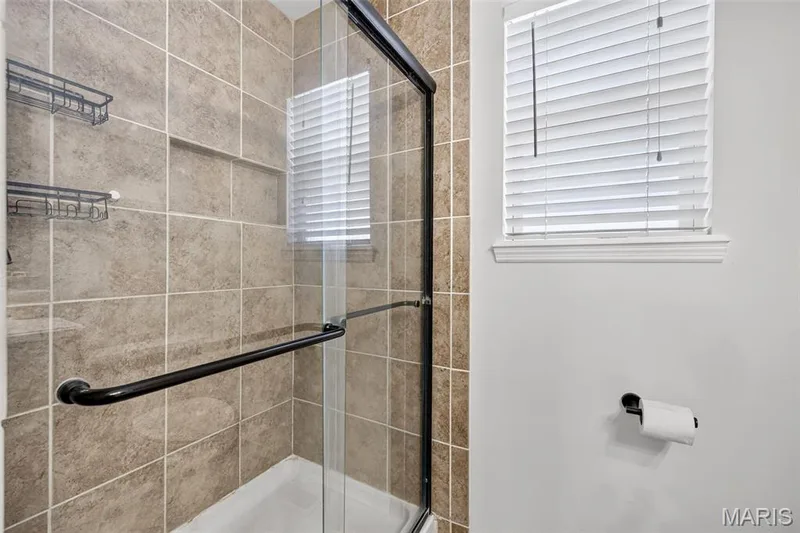206 Geranium Drive, O'Fallon, MO 63366 — listing photo 13 of 25