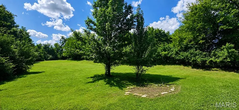 1600 Koch Road, O'Fallon, MO 63366 — listing photo 6 of 29