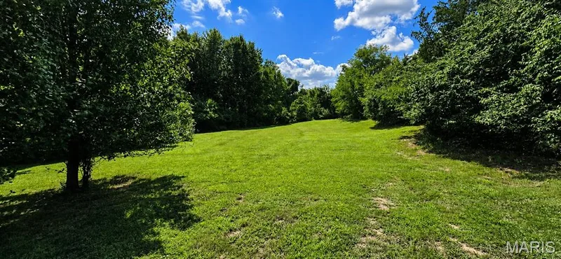 1600 Koch Road, O'Fallon, MO 63366 — listing photo 7 of 29
