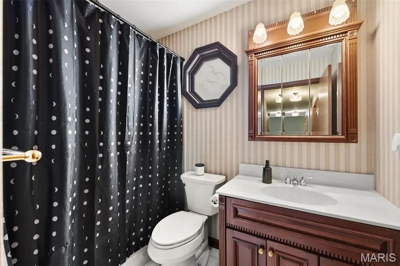 Main Level Guest Bathroom — 8 Ardwick Drive, St Peters, MO 63376