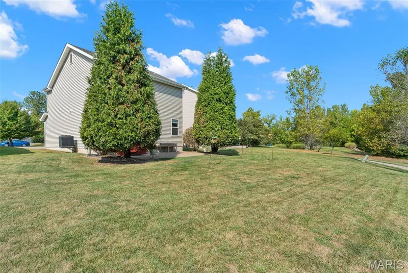 Spacious back yard — 166 Brushy Brook Drive, O'Fallon, MO 63366