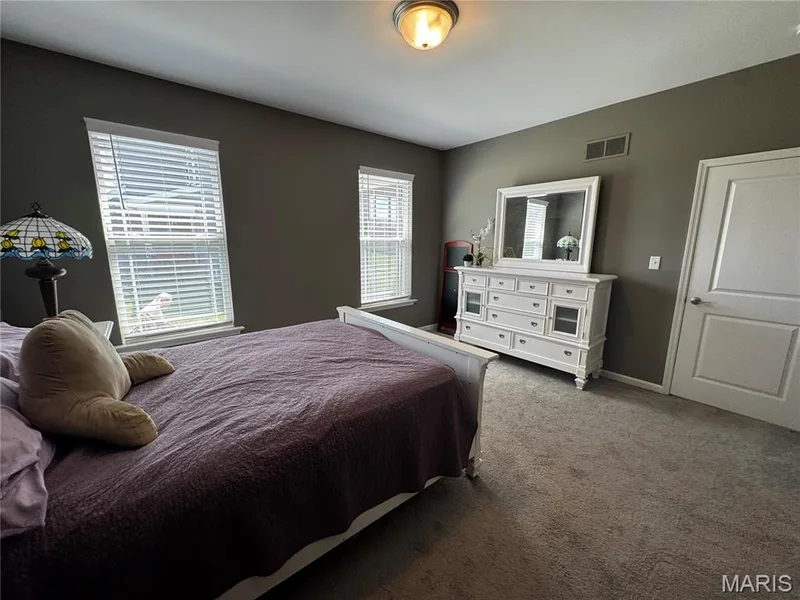 Neutral wall paint, two windows with blinds, carpeted flooring, and a flush mount ceiling light fixture — 401 Copperfield Court, St Charles, MO 63301