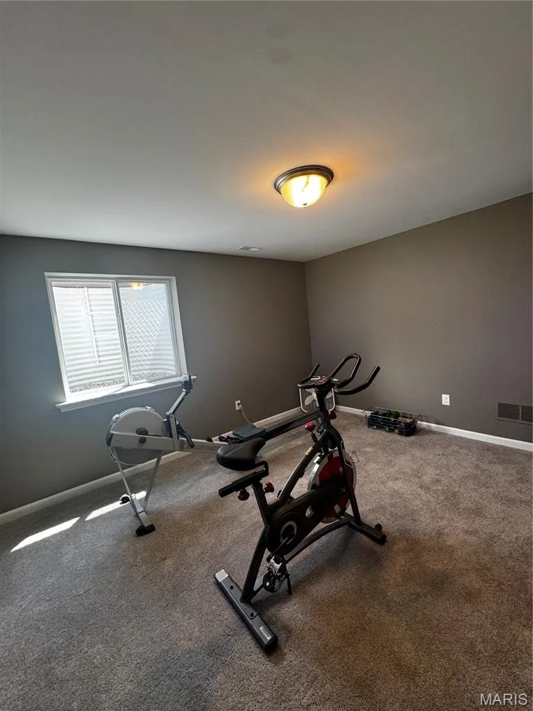 Carpeted room with a flush-mount ceiling light fixture, a window with horizontal blinds, and neutral-toned walls — 401 Copperfield Court, St Charles, MO 63301