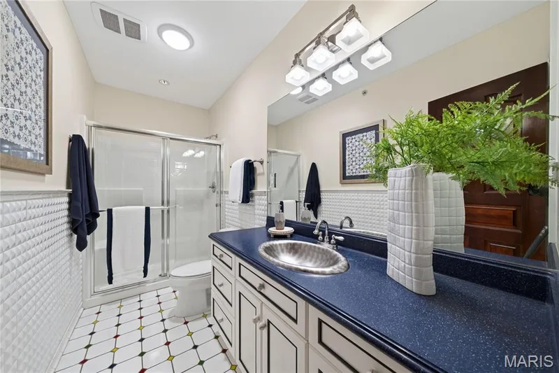 7 Hillside Court, Wentzville, MO 63385 — listing photo 38 of 80