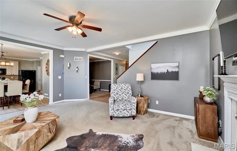 233 Spring Borough Drive, O'Fallon, MO 63368 — listing photo 19 of 67