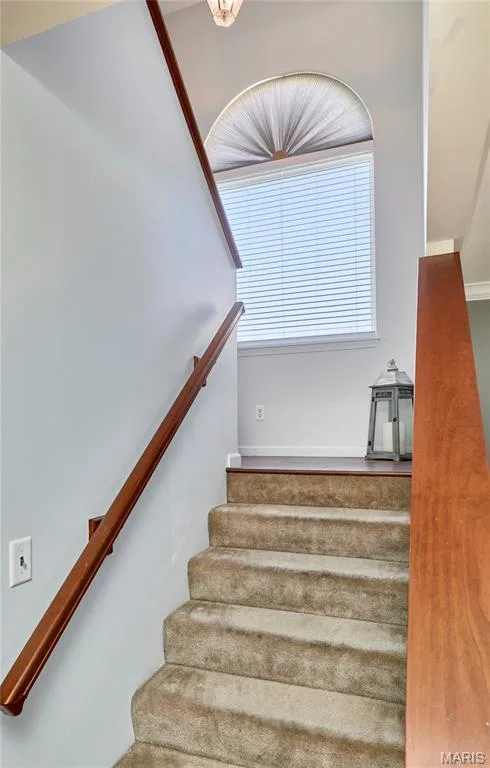 233 Spring Borough Drive, O'Fallon, MO 63368 — listing photo 30 of 67