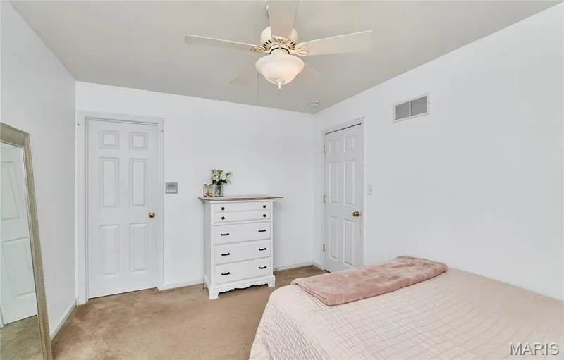 233 Spring Borough Drive, O'Fallon, MO 63368 — listing photo 47 of 67