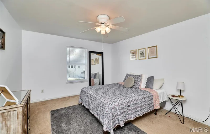 233 Spring Borough Drive, O'Fallon, MO 63368 — listing photo 49 of 67