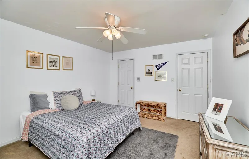 233 Spring Borough Drive, O'Fallon, MO 63368 — listing photo 51 of 67