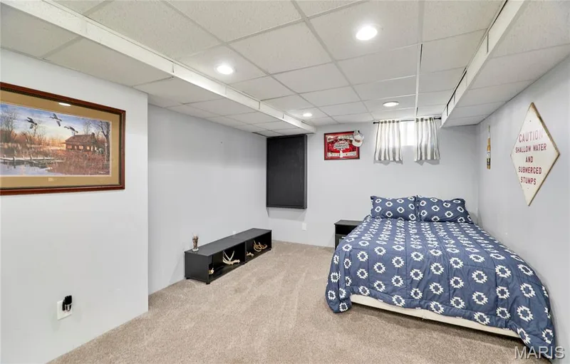 233 Spring Borough Drive, O'Fallon, MO 63368 — listing photo 58 of 67