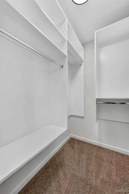 1597 Indian Springs Drive, O'Fallon, MO 63366 — listing photo 37 of 49