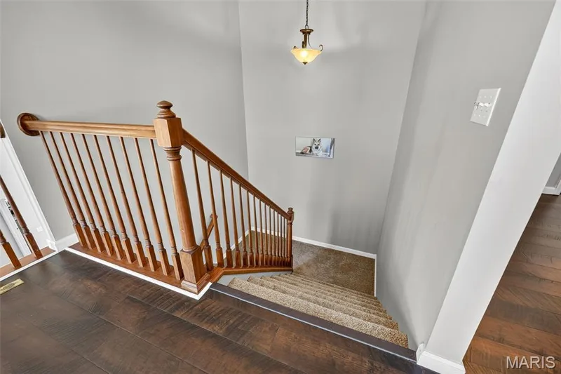 805 Mule Creek Drive, Wentzville, MO 63385 — listing photo 26 of 52