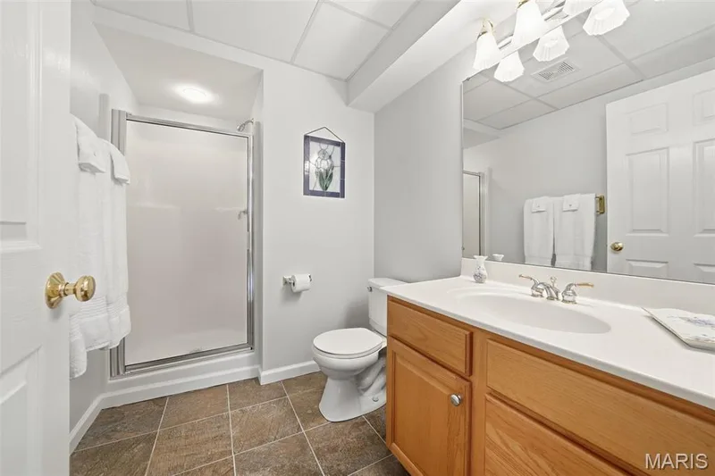 14424 White Pine Ridge Lane, Chesterfield, MO 63017 — listing photo 32 of 46