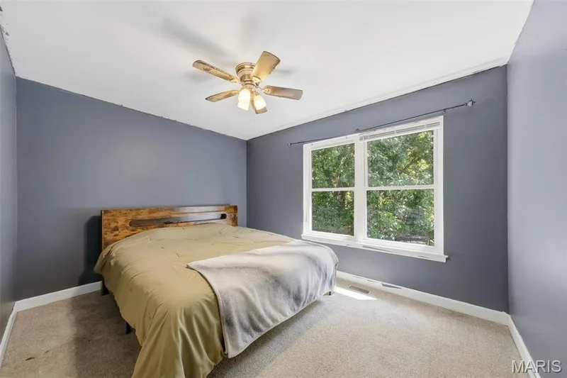 24 Declaration Trail, O'Fallon, MO 63368 — listing photo 13 of 30