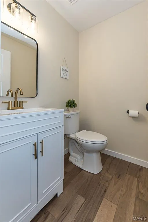 29 Mill Race Drive, St Peters, MO 63376 — listing photo 20 of 44