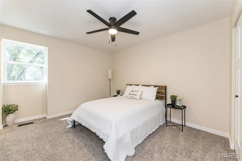 29 Mill Race Drive, St Peters, MO 63376 — listing photo 23 of 44