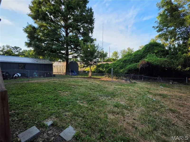 7 2nd Street, St Peters, MO 63376 — listing photo 5 of 28