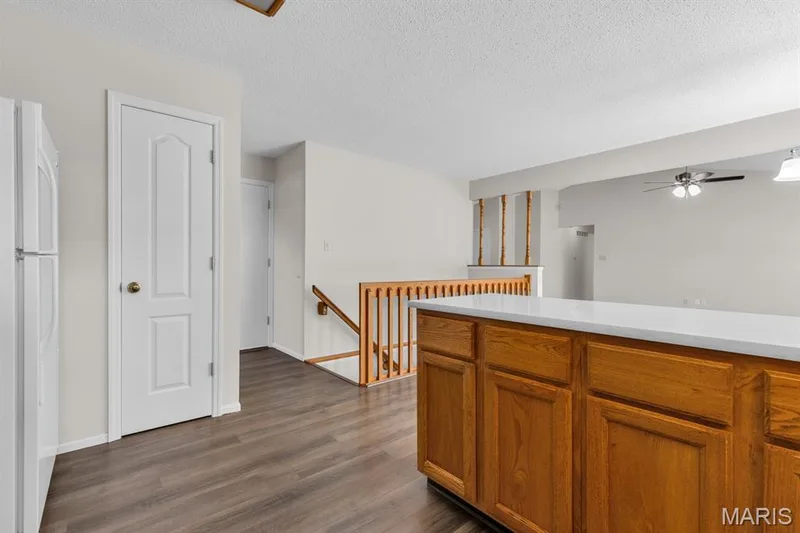 Pantry for extra storage — 882 Sara Beth Court, St Peters, MO 63376